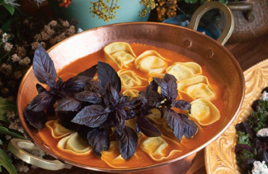 Raviolone de mozzarela de búfala com molho de tomates frescos
