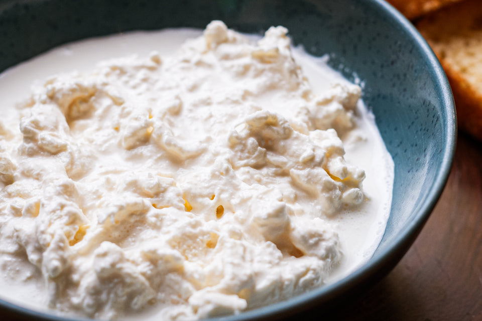 Brioche com Salmão, Stracciatella e Molho Cítrico